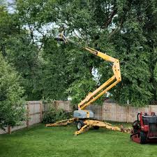 Best Tree Preservation Services  in Jenkins, KY